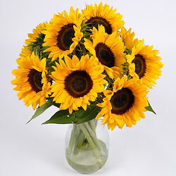 Strauß mit 10 Sonnenblumen