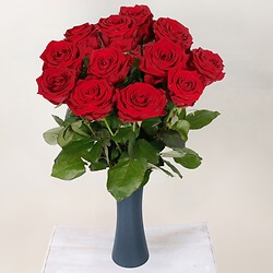 12 Long-stemmed red roses
